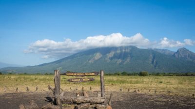 Taman Nasional Baluran