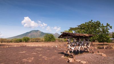 Taman Nasional Baluran